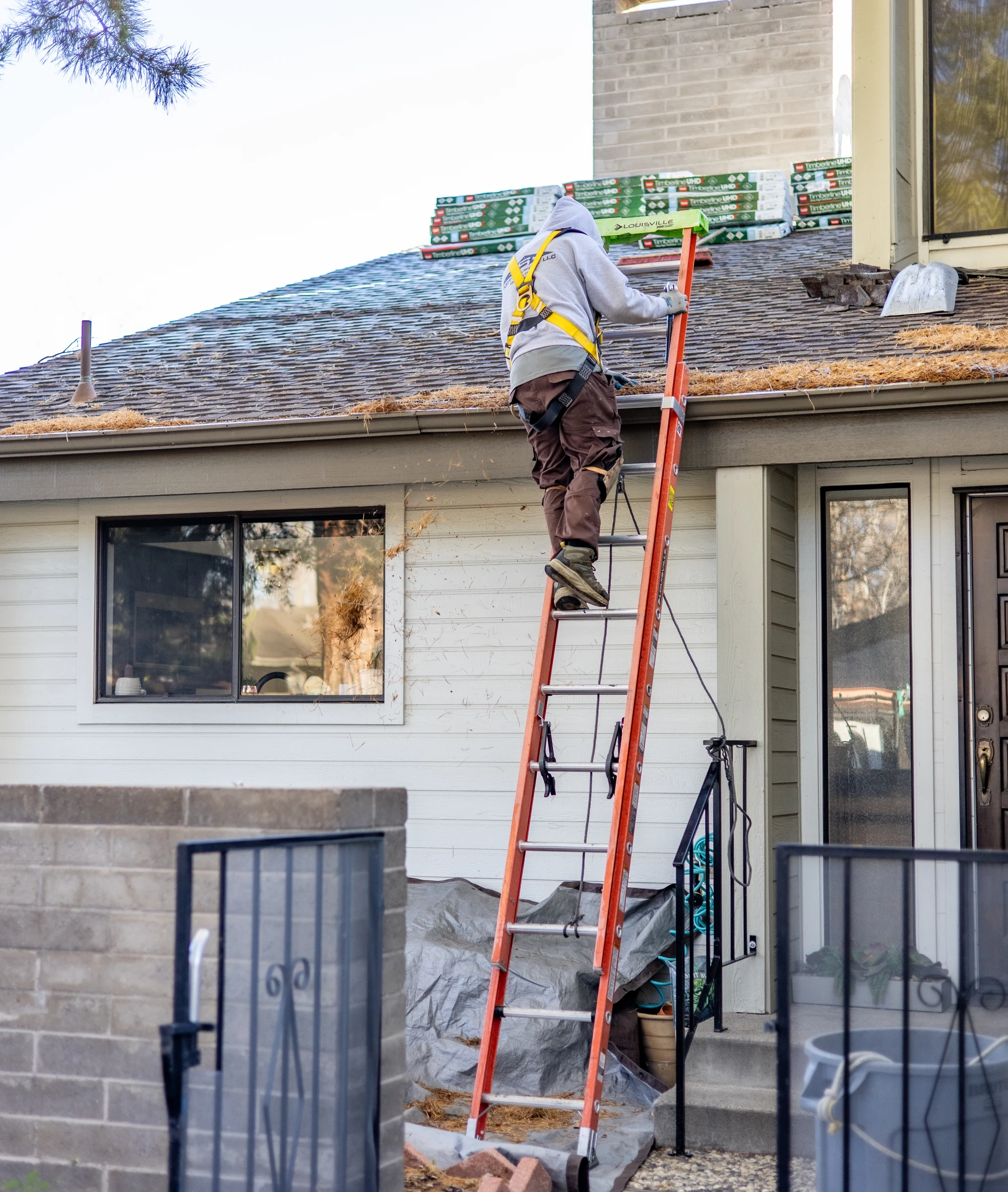 Gutter cleaning service