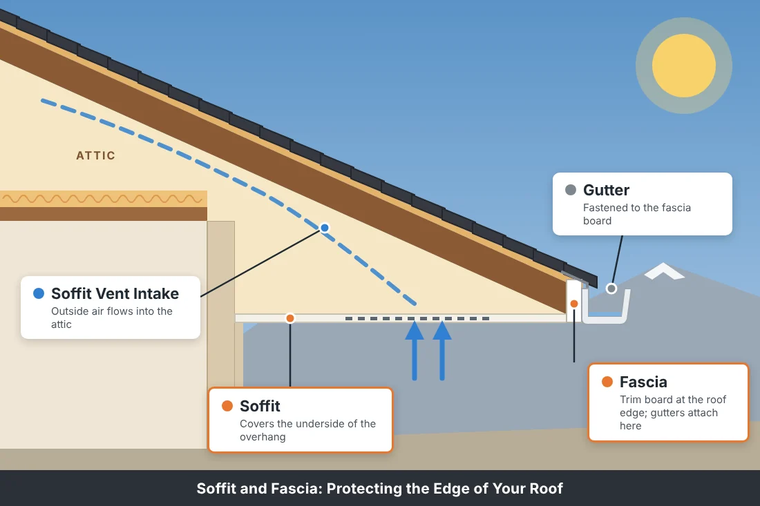 Diagram of a Reno Nevada roof edge showing the fascia board, gutter, and vented soffit with attic intake airflow
